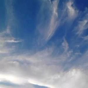 Meet your Posher, Tanya